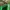 Converse Casual Sneakers Pria green photo 3