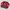 New Jersey  Devils photo 1