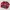 New Jersey  Devils