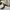 Armani	 Casual Loafer Pria tan photo 1