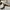 Armani	 Casual Loafer Pria Tan