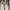 Armani	 Casual Loafer Pria tan photo 8