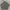 CAFERACER LEATHER JACKET | CASUAL JACKET | BIKERS | OUTER