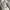 Aerostreet Hoops Low Offwhite - Sepatu Sneakers Casual photo 4