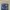 PLAC SLENDER SKINNY  LONG PANT DENIM STRECTH  P photo 4