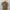 AVIREX Military Shirt photo 1
