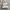 Adidas Campus photo 1