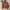 Atasan crop photo 1