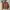 Atasan Crop