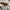 Vincent Brown Sunglasses photo 2