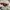 Vincent Brown Sunglasses