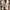 Nike M2K Tekno photo 4