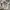 Supreme Streetwear Hoody Pria gray photo 4