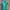 Pancoat photo 1