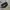 Transparent Bold Sunglasses  photo 3