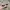 Transparent Bold Sunglasses  photo 1