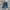 GAP BOOT FIT DEEP BLUE JEANS photo 1