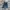 GAP BOOT FIT DEEP BLUE JEANS