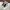 Zara Casual Sneakers Wanita white photo 2