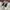 Zara Casual Sneakers Wanita white photo 3