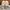 Zara Casual Sandals & slide Wanita tan photo 4