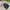 Vest rompi anak the north face puffer bulu angsa hitam cakep photo 1