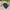 Vest rompi anak the north face puffer bulu angsa hitam cakep photo 4