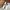 VEJA Casual Sneakers Wanita white black photo 5