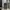 LEVI'S LOT. 508 BLACK WASHED JEANS photo 8