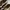 Maison Mihara Yasuhiro Blakey Canvas Low Top photo 4