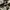 Maison Mihara Yasuhiro Blakey Canvas Low Top photo 3