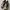Maison Mihara Yasuhiro Blakey Canvas Low Top photo 1