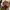 Maison Mihara Yasuhiro Blakey Canvas Low Top photo 7