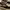 Maison Mihara Yasuhiro Blakey Canvas Low Top photo 5
