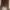 Maison Mihara Yasuhiro Blakey Canvas Low Top photo 6