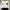 Luxury Casual Casual shirt Pria white photo 3