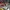 Diecast Porsche Cars loose bundle photo 3