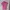 Polo shirt classic fit ladies Polo Ralph Lauren Original  photo 1