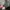 Supreme Luxury Hat Pria green photo 8