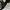 Amiri Wolf Logo Canvas Nylon Trucker Hat Black photo 5