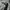 REWORK AND HANDPAINT HOODIE DOUBLE ZIP THE 1975 - ABOUT YOU photo 5