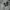 REWORK AND HANDPAINT HOODIE DOUBLE ZIP THE 1975 - ABOUT YOU photo 7