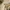 Avirex Flight Bomber Jacket G1 Dark Brown photo 7