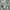 Burberry Blue Label Shirt Women's photo 5