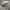 Military cap by kurtz photo 2