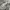 Heavy Cotton Blank Grey Hoodie  photo 2