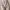 Unknow seamless puffer jacket
 photo 6