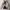 Unknow seamless puffer jacket
 photo 7