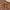 Sugar Cane Vintage Streetwear Jeans Pria brown photo 4