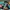 Vintage Streetwear Hat Pria Multicolor